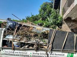 Best Attic Cleanout  in Celina, TN