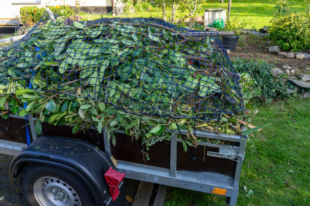 Best Hoarding Cleanup  in Celina, TN